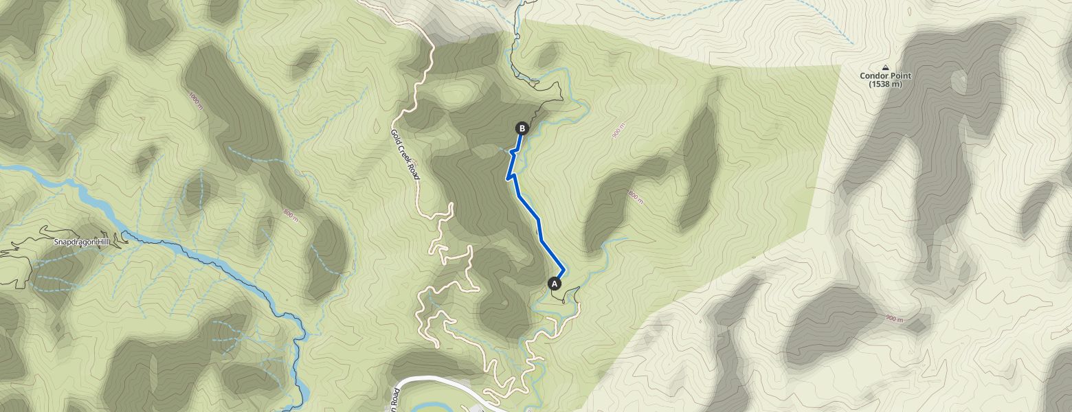 Tom lucas trail camp hotsell